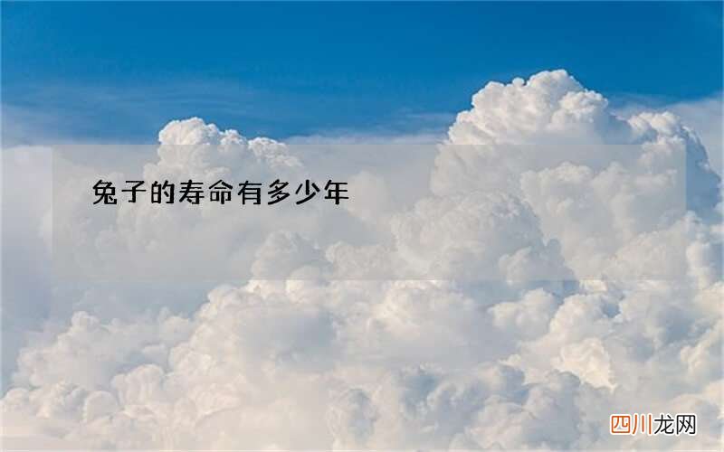 兔子的寿命有多少年