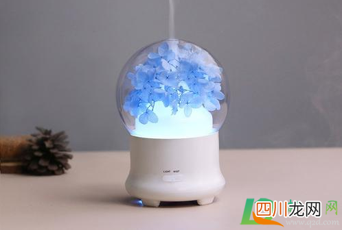 加湿器加了水怎么还显示缺水