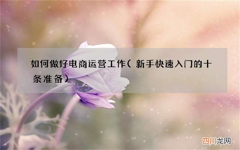 新手快速入门的十条准备 如何做好电商运营工作