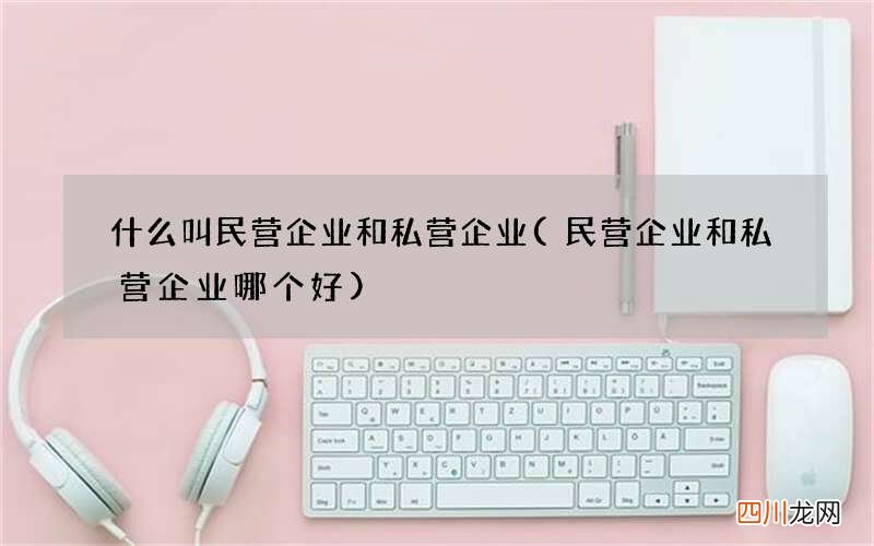 民营企业和私营企业哪个好 什么叫民营企业和私营企业