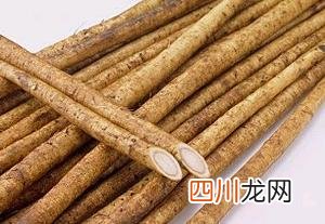 夏日减肥最刮油的食物推荐