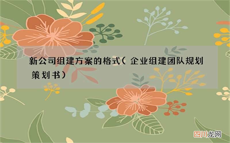 企业组建团队规划策划书 新公司组建方案的格式