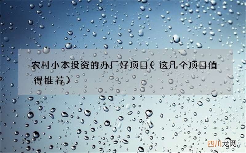 这几个项目值得推荐 农村小本投资的办厂好项目