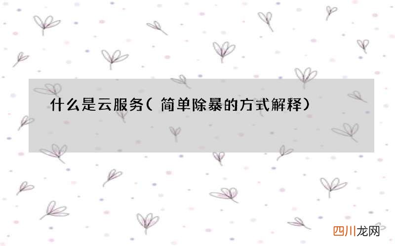 简单除暴的方式解释 什么是云服务