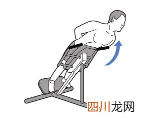 山羊挺身提高腰部力量最有效锻炼方法