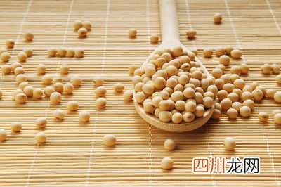 吃大豆的好处多多