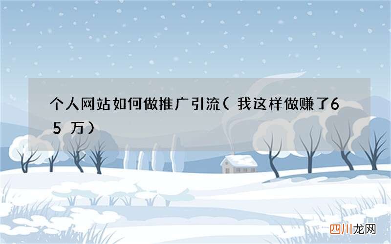 我这样做赚了65万 个人网站如何做推广引流