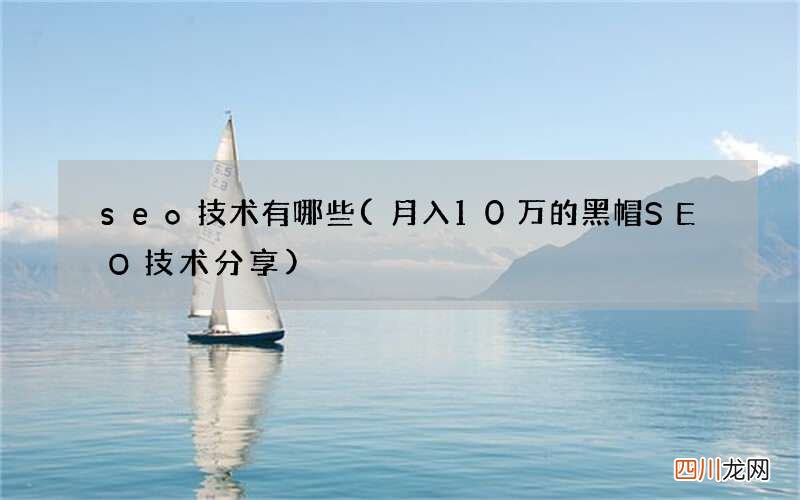 月入10万的黑帽SEO技术分享 seo技术有哪些