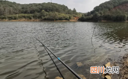 鱼竿没有护杆油用什么