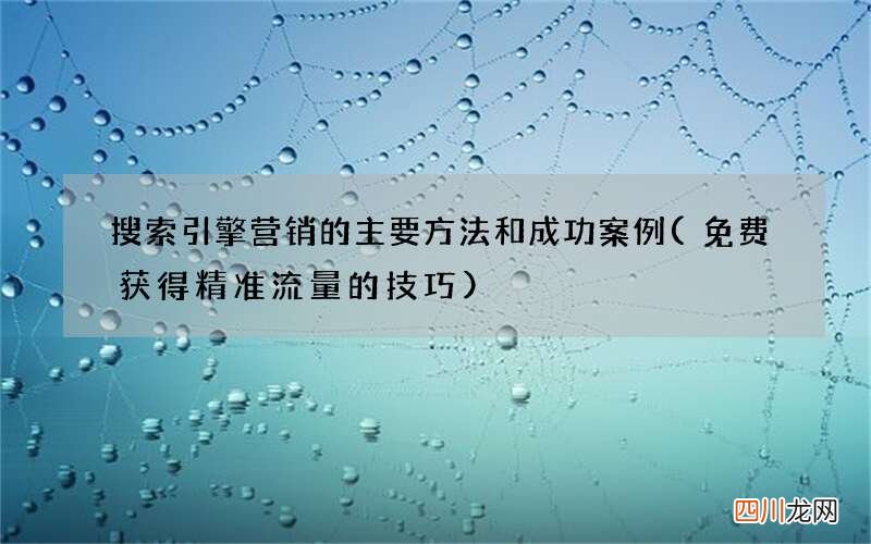 免费获得精准流量的技巧 搜索引擎营销的主要方法和成功案例