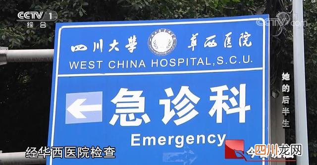 上海一女子网上抢千元菜被大妈偷走的简单介绍