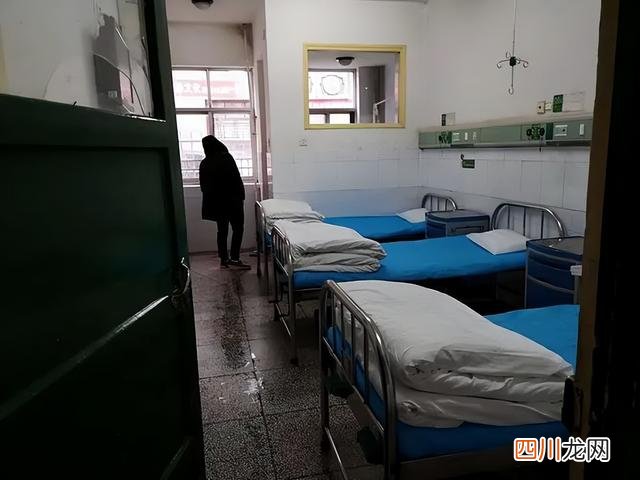 上海一女子网上抢千元菜被大妈偷走的简单介绍