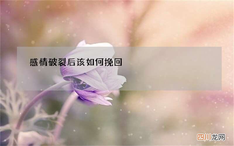 感情破裂后该如何挽回