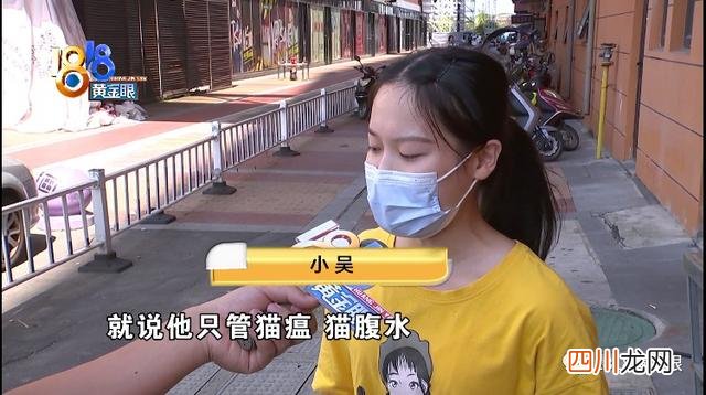 小猫长猫癣不治也能好吗 小猫查出有猫癣对话涉及零容忍