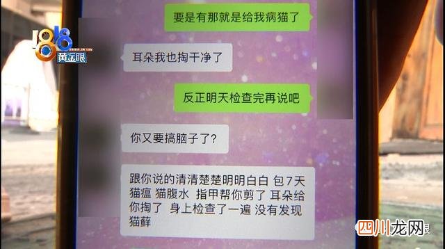 小猫长猫癣不治也能好吗 小猫查出有猫癣对话涉及零容忍