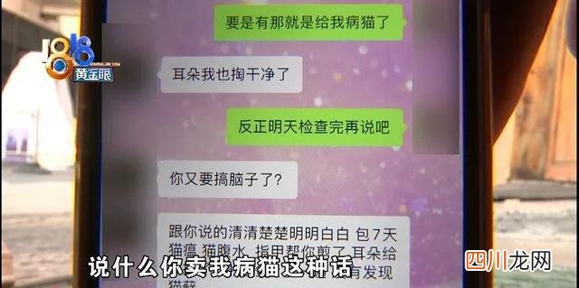 小猫长猫癣不治也能好吗 小猫查出有猫癣对话涉及零容忍