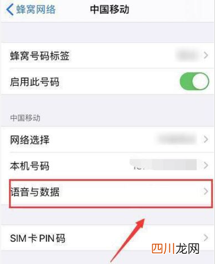 苹果13手机4G和5G都可以吗