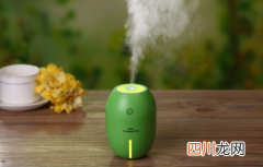 加湿器送的棉棒怎么用
