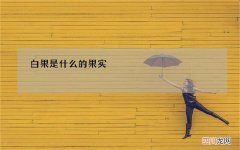 白果是什么的果实