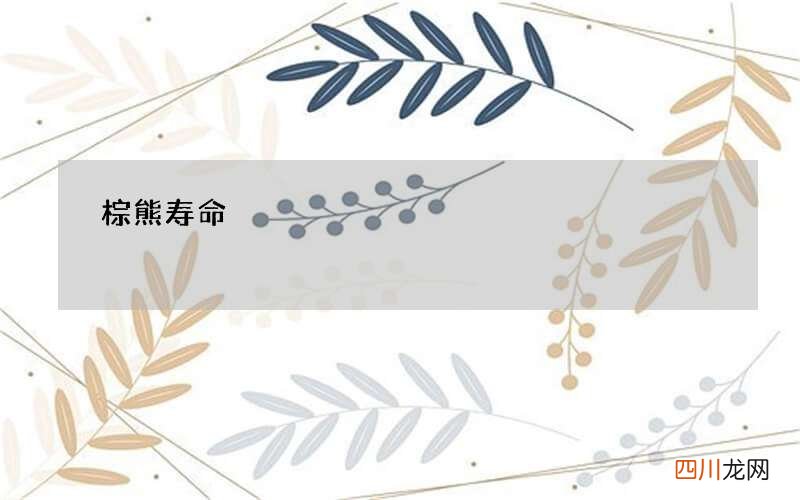 棕熊寿命