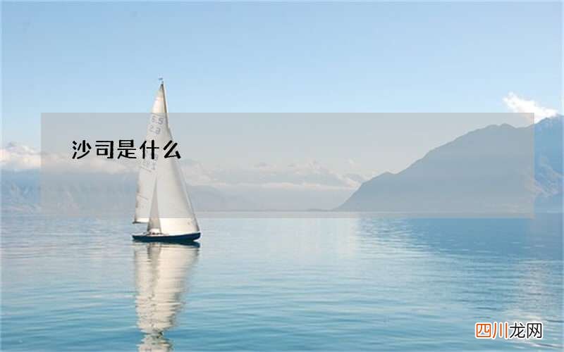 沙司是什么