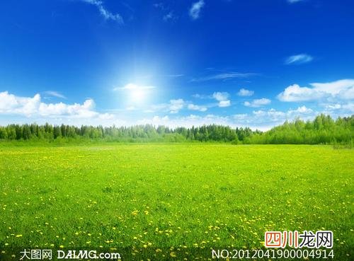 半月板损伤关节积液怎么缓解