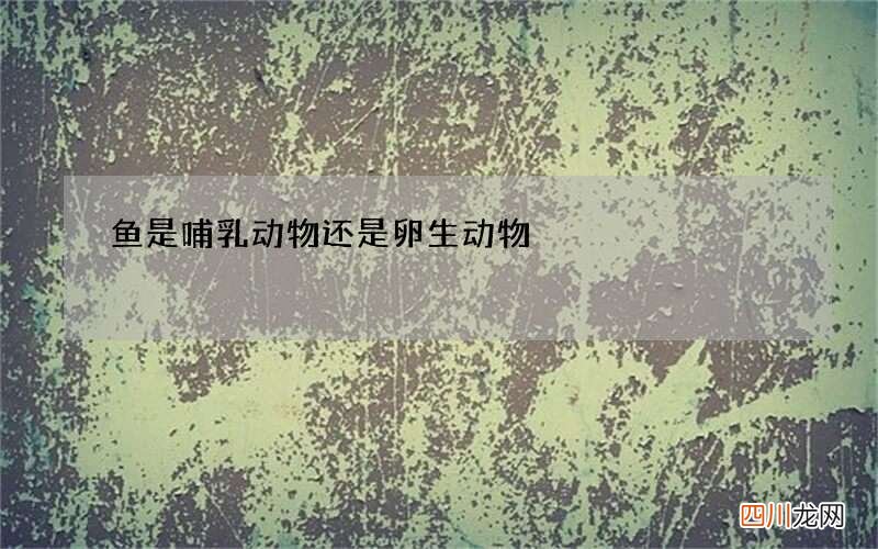 鱼是哺乳动物还是卵生动物