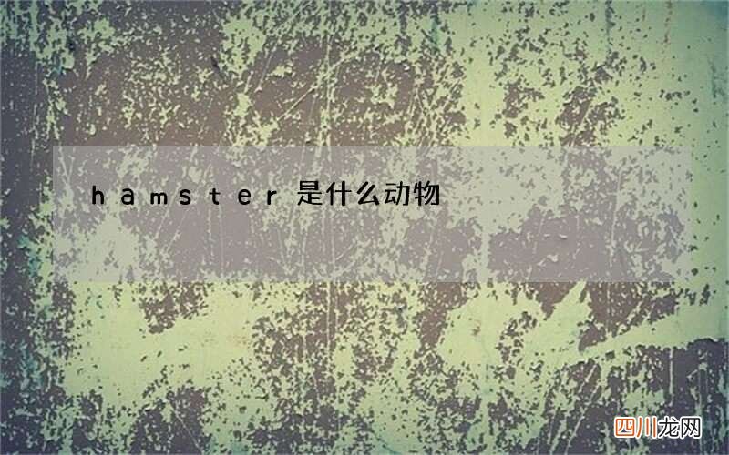 hamster是什么动物