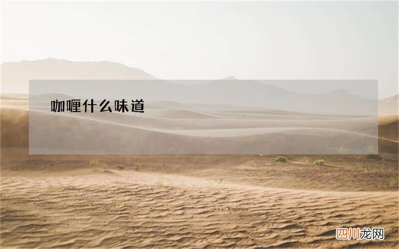 咖喱什么味道