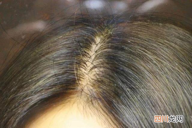 冷军老师花了五个小时画的画 冷军的蒙娜丽莎是怎样画出来的