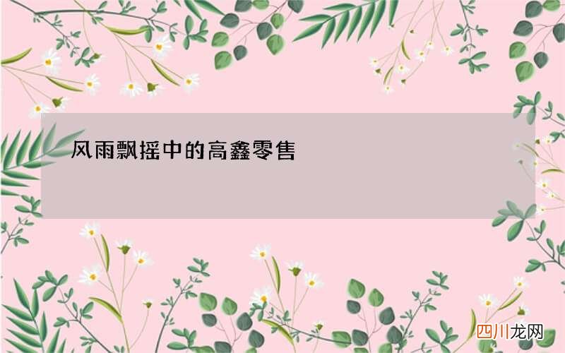 风雨飘摇中的高鑫零售