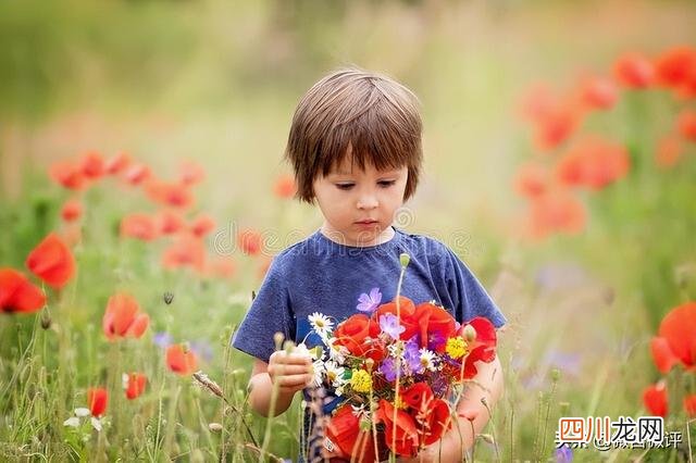 花样男子之罂粟 男子为尝鲜荒院内种250株罂粟苗