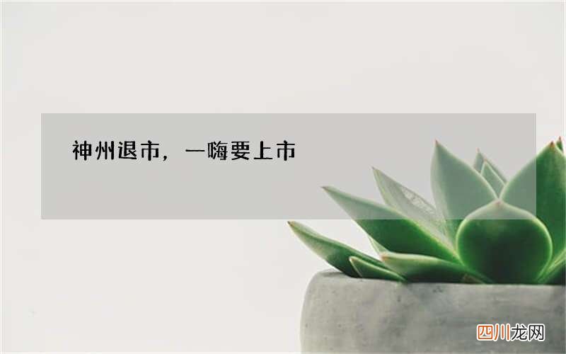 神州退市，一嗨要上市