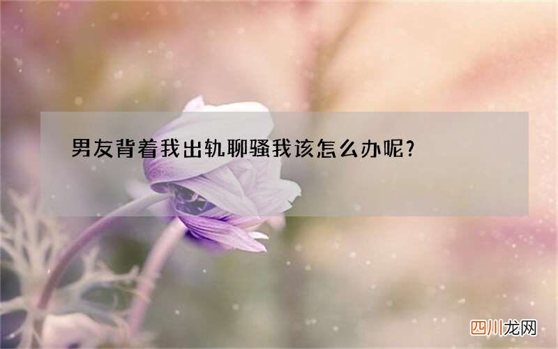 男友背着我出轨聊骚 我该怎么办呢？