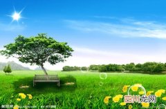 如何辨别篮球鞋的真伪