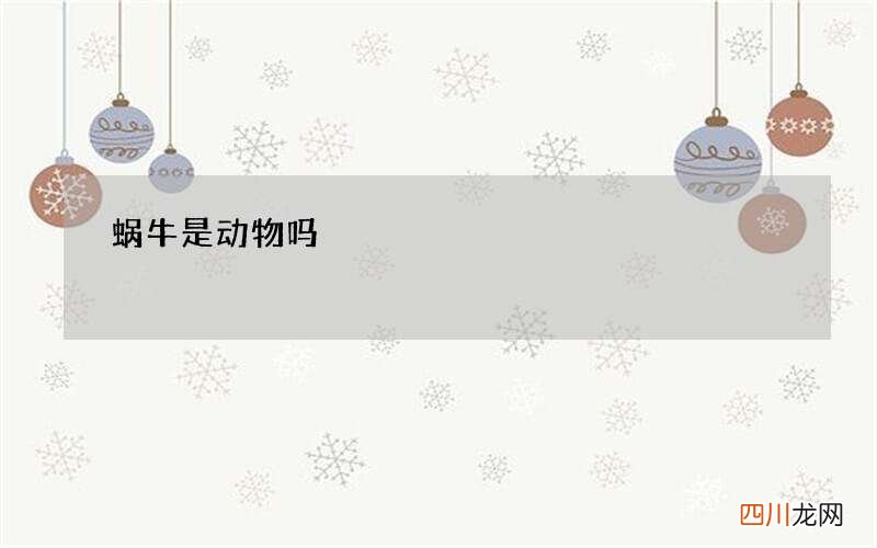 蜗牛是动物吗