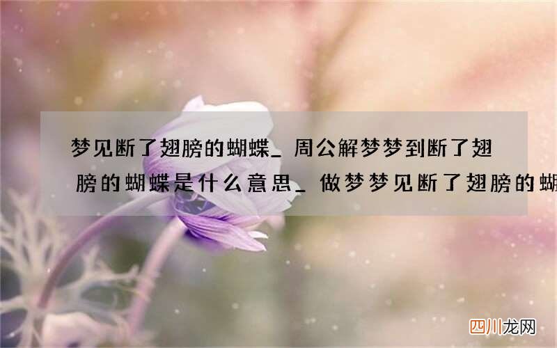 梦见断了翅膀的蝴蝶_周公解梦梦到断了翅膀的蝴蝶是什么意思_做梦梦见断了翅膀的蝴蝶好不好