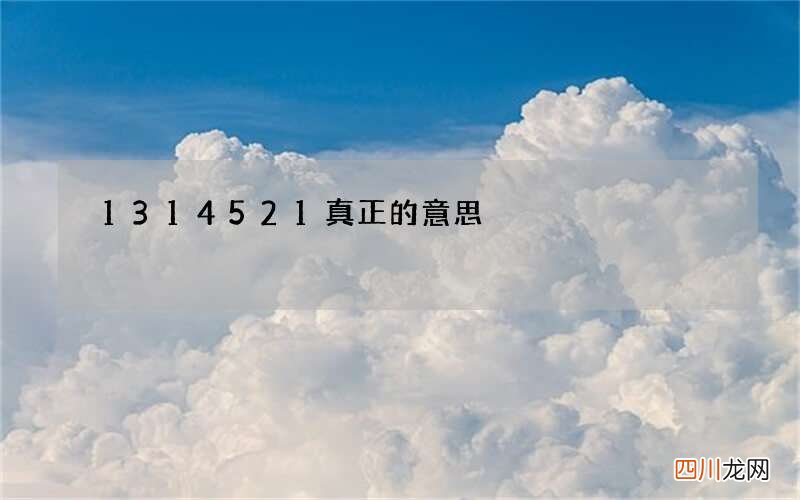 1314521真正的意思