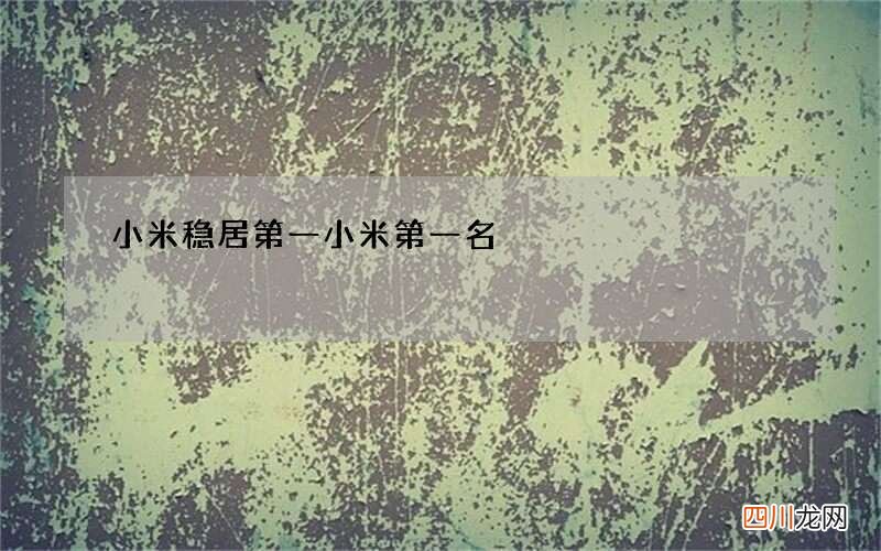 小米稳居第一 小米第一名