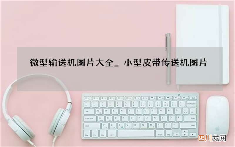 微型输送机图片大全_小型皮带传送机图片