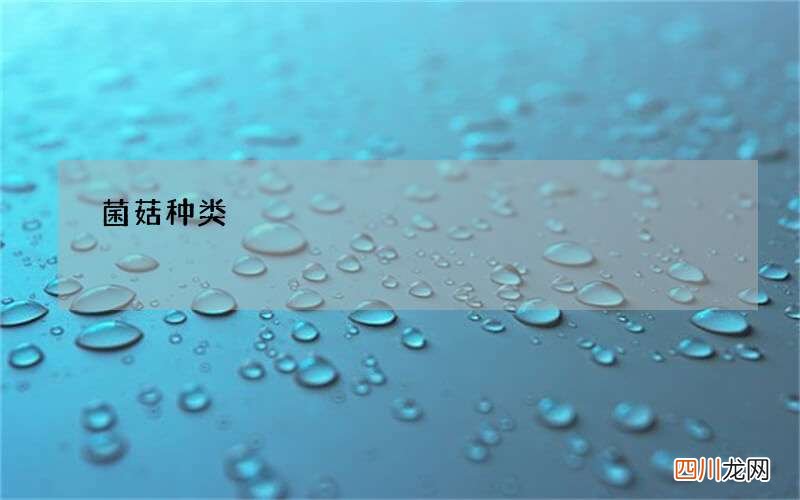 菌菇种类