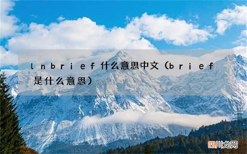 brief是什么意思 lnbrief什么意思中文