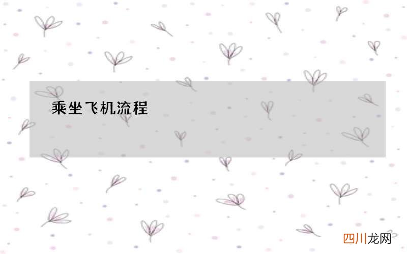 乘坐飞机流程