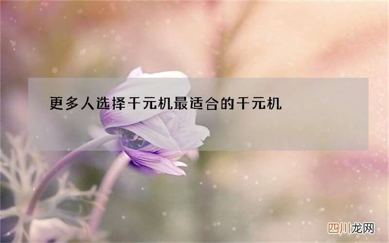 更多人选择千元机 最适合的千元机