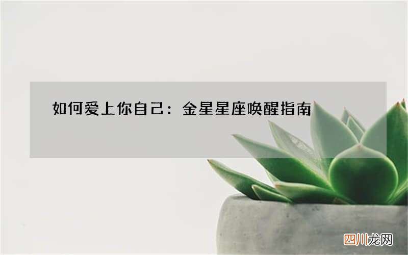 如何爱上你自己：金星星座唤醒指南