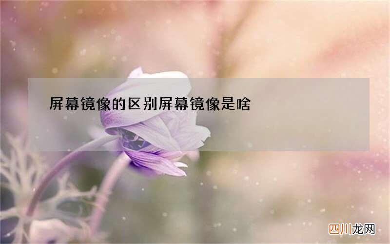 屏幕镜像的区别 屏幕镜像是啥