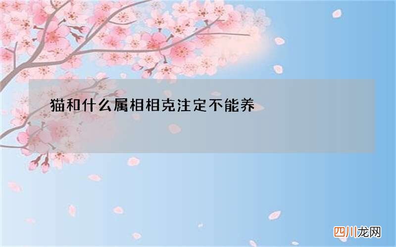 猫和什么属相相克注定不能养