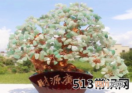 招财树的摆放禁忌