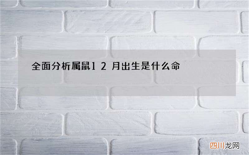 全面分析属鼠12月出生是什么命