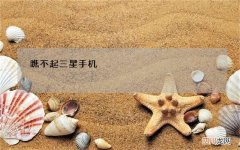 瞧不起三星手机